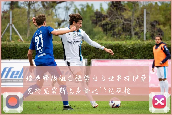 瑞典锋线组合强势出击世界杯伊萨克约克雷斯总身价达15亿双枪