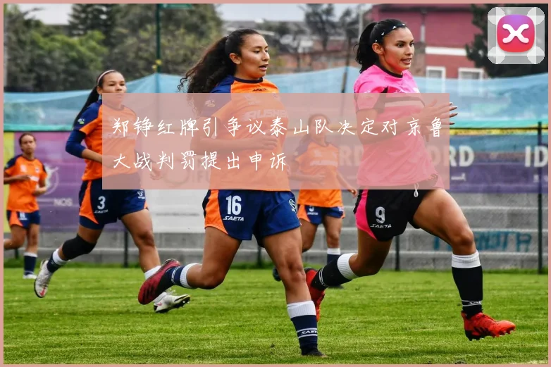 郑铮红牌引争议泰山队决定对京鲁大战判罚提出申诉