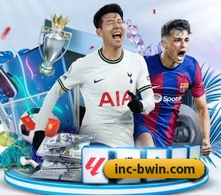 必赢体育 APP 界面 - BWIN