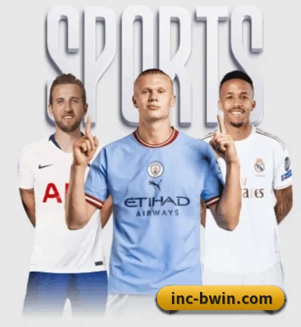 五个功能入口,赛程查询路径更短 - BWIN